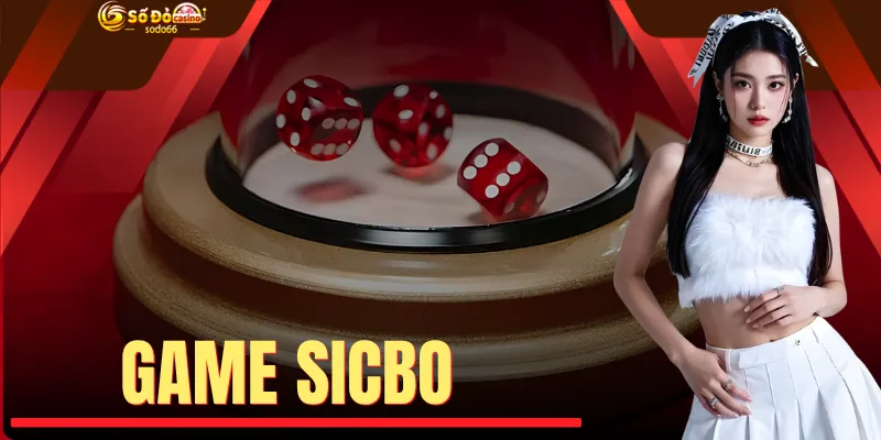 Game Sicbo - Cách Tối Ưu Tỷ Lệ Thưởng 99% Cho Hội Viên