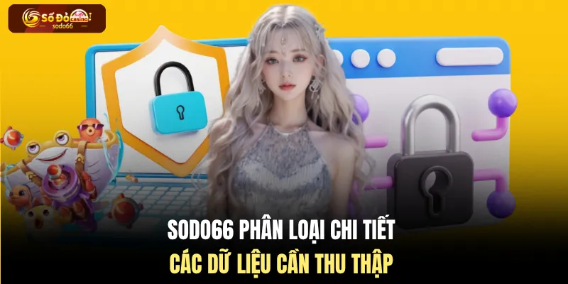 SODO66 phân loại chi tiết các dữ liệu cần thu thập
