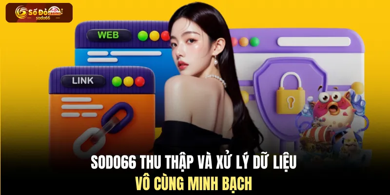 SODO66 thu thập và xử lý dữ liệu vô cùng minh bạch