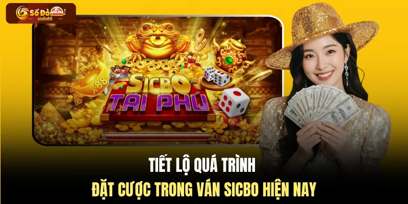 Tiết lộ quá trình đặt cược trong ván Sicbo hiện nay